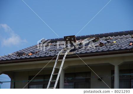 Construction of repair roof tiles for roof tiles 8021293