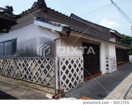 Sea cucumber wall 8021358