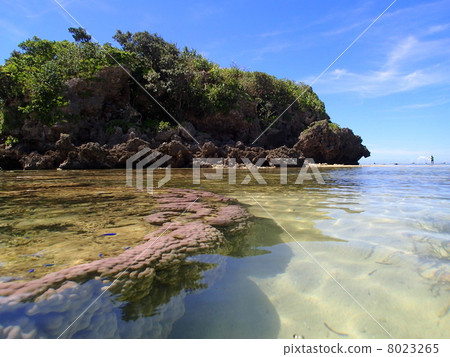 海灘沙灘 8023265