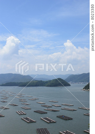 夏天海和牡蠣筏 8023380