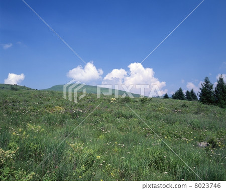 夏季汽車山 8023746