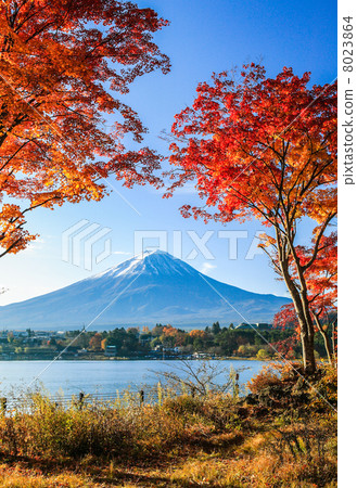 富士山和富士山 富士山和富士山 8023864