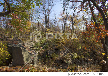 NEW YORK CITY 8024059