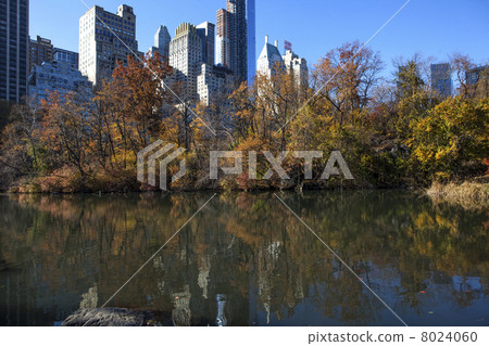 NEW YORK CITY 8024060