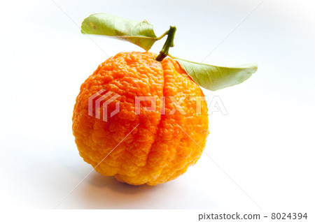 Bumpy lemon Bumpy lemon 8024394