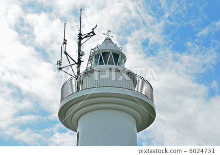 Hachinohe walk · Shark corner lighthouse Species coast 8024731