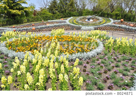 Flower clock clock Denpak 8024871