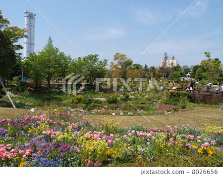 Wildflower Garden · Blue Bonnet 8026656