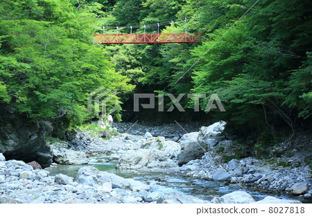 Beppu峽谷在夏天 Beppu峽谷在夏天 8027818