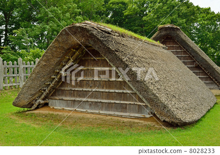 Hachinohe stroll · Barn Rojo Honmaru trace 8028233