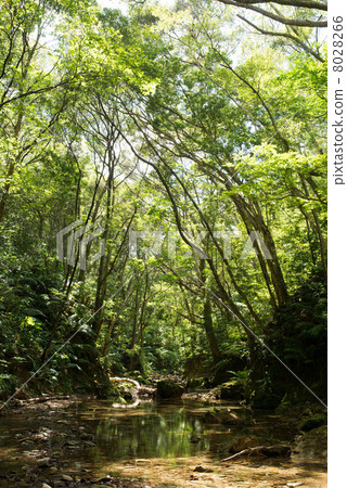 我會盡我所能。 8028266