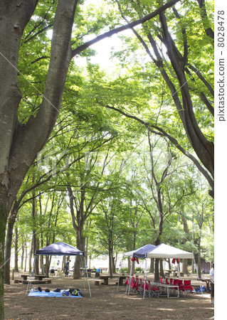 Campsite of Koharugaoka Park Campsite of Koharugaoka Park 8028478