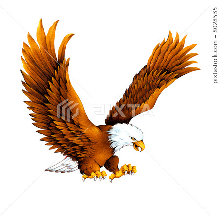 Baikaku鷹 Baikaku鷹 8028535