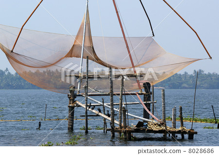 Chinese fishing nets. Vembanad Lake, Kerala, South India 8028686