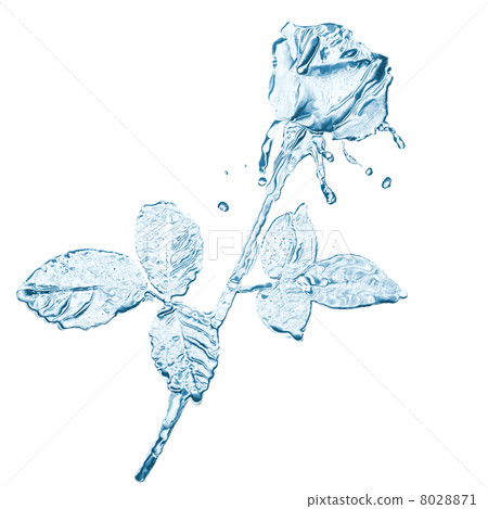 water flower splashes isolated on white 8028871