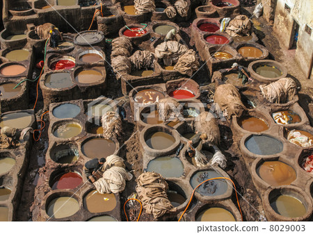 Tannery in Fez, Morocco 8029003
