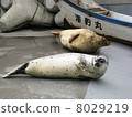 密封_ 02 8029219