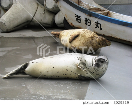 密封_ 02 8029219