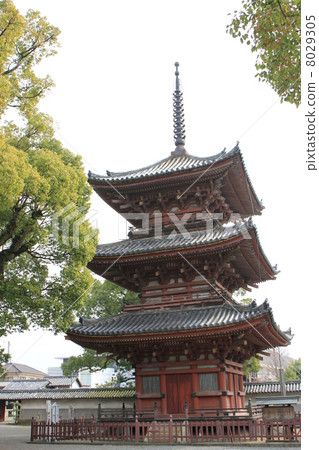Ikarugadera Ikarugadera 8029305