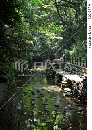 Trance Forum, Tanizawa River and Promenade 8029359