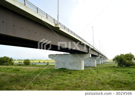 拍打橋 拍打橋 8029566