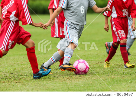 足球 8030497