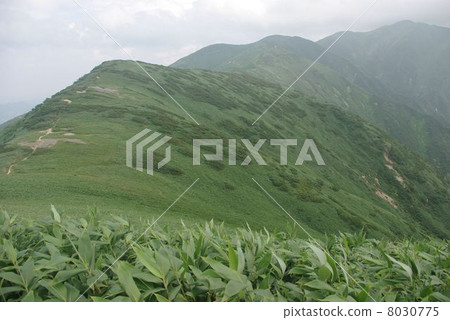 Mountain skin of the Iideho mountains 8030775