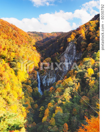 熊瀑布 熊瀑布 8030792