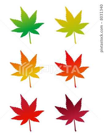 Autumn illustration autumn leaves Autumn illustration autumn leaves 8031340