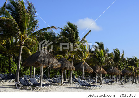 Mexican resort beach 8031393