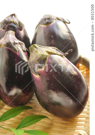 Water biscuits Water biscuits 8031500