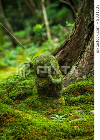 京都大原三禪寺Warabe Jizo 8031538