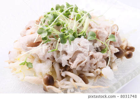 冷涮 冷涮 8031748