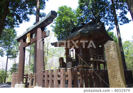 Small company of purple palace ruins 8032974