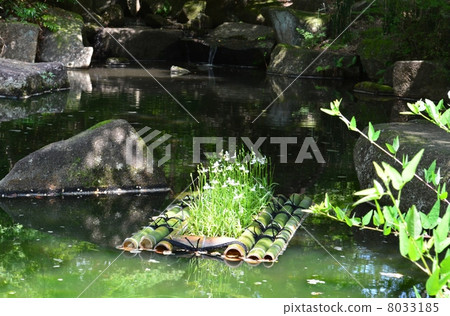 Sasigo flower raft 8033185