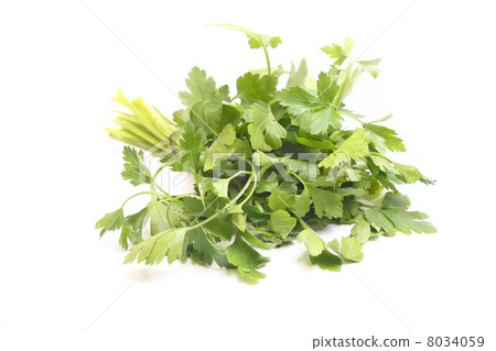parsley parsley 8034059