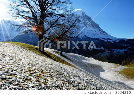 艾格峰從瑞士的格林德瓦向上看 8034210