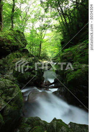 聲音水穀 8034304