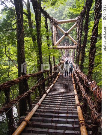 Double Kazura Bridge 8034555