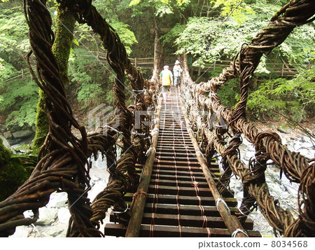 Double Kazura Bridge 8034568