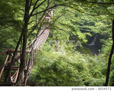 Double Kazura Bridge 8034571