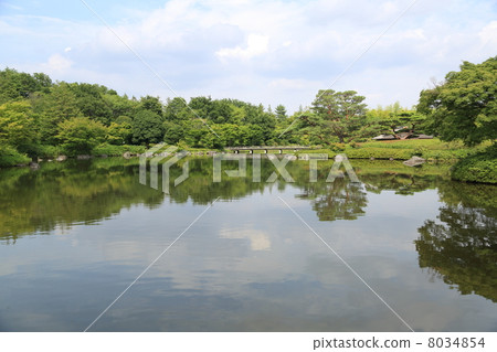 A garden 8034854