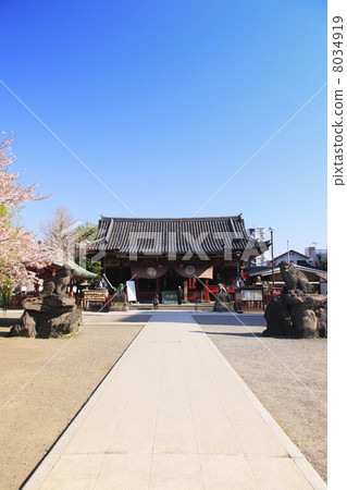 東京都·春天淺草神社 8034919