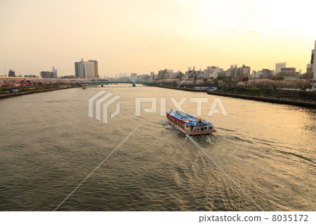 Sumida River in spring that stains in madder color 8035172