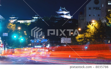 Wakayama Castle at Night Wakayama City, Wakayama Prefecture Wakayama Castle at Night Wakayama City, Wakayama Prefecture 8035786
