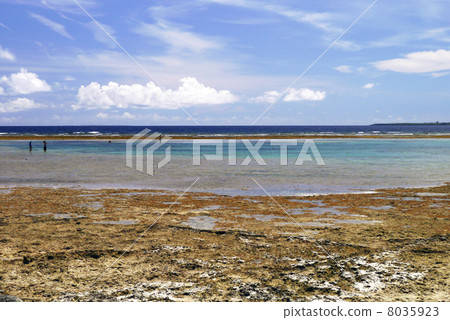 Nakamoto coast Nakamoto coast 8035923