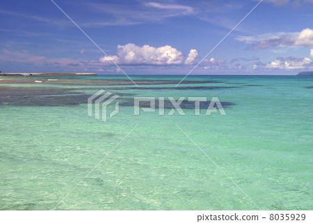 Panari Island Panari Island 8035929