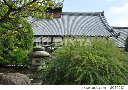 Kagoshima Kimiki Hagi of Gwangmyo-ji 8036281