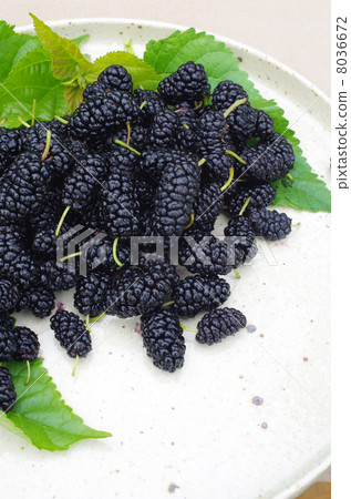 Delicious mature Mulberry 8036672