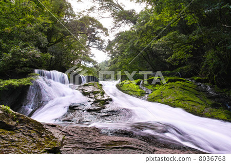 Kikuchi Valley 40 thousand waterfall 8036768